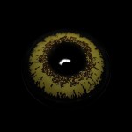 Cosplay Genshin Impact Faruzan Brown Colored Contact Lenses