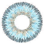 CONTOUR BLUE Colored Contact Lenses