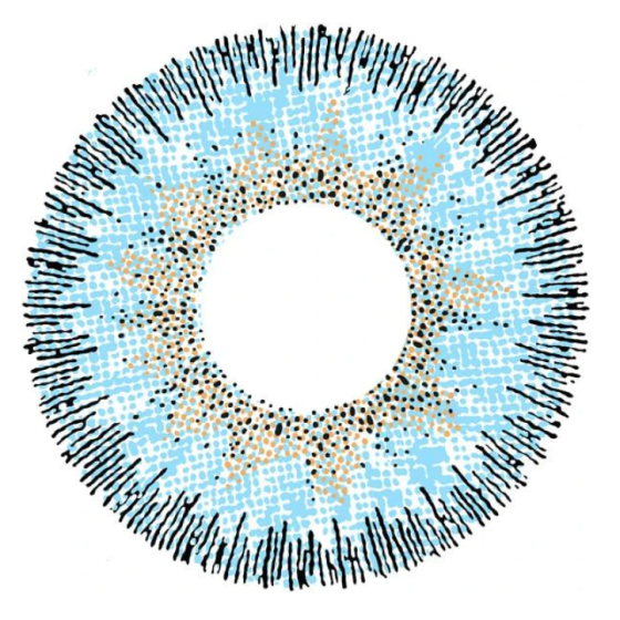 CONTOUR BLUE Colored Contact Lenses