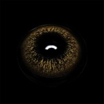 Nashia Brown Prescription Colored Contact Lenses