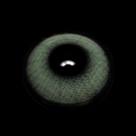 Bamboo Green Colored Contact Lenses