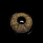 Hesper Brown Prescription Colored Contact Lenses