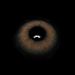 Shailagh Brown Prescription Colored Contact Lenses