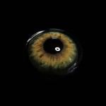 Stunna Girl Kamille Colored Contact Lenses