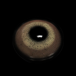 Gimlet Brown Colored Contact Lenses
