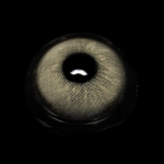 Miginia Gray Colored Contact Lenses