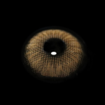 Dawn Brown Colored Contact Lenses