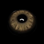 Vanessa Brown Colored Contact Lenses