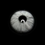 Clover Grey Prescription Colored Contact Lenses