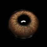 Helena Brown Colored Contact Lenses