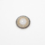 Rome Gray Colored Contact Lenses