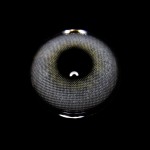Halo Gray Prescription Colored Contact Lenses