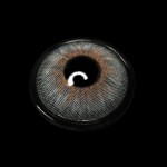 Elida Gray Colored Contact Lenses