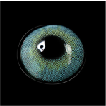 Cherry Sky Blue Colored Contact Lenses
