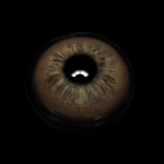 Shayleen Hazel Brown Colored Contact Lenses