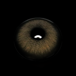 Tina Brown Colored Contact Lenses