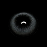 Sidra Light Gray Colored Contact Lenses