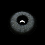 Talitha Gray Colored Contact Lenses
