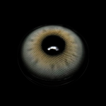 Rosemary Gray Colored Contact Lenses