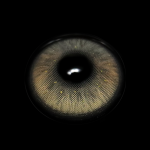 Ophir Gray Colored Contact Lenses