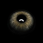 Renata Black Colored Contact Lenses