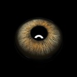 Renata Brown Colored Contact Lenses