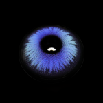 Cosplay Butterfly Blue Colored Contact Lenses