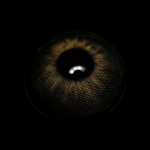 Cassia Black Colored Contact Lenses