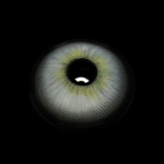 Seren Gray Colored Contact Lenses