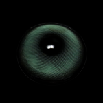 Shae Green Colored Contact Lenses