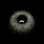Margarida Gray Colored Contact Lenses