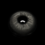 Celeste Black Colored Contact Lenses