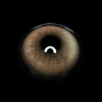 Vlinder Hazel Colored Contact Lenses