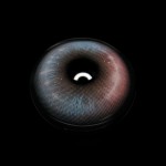 Vlinder Pink Colored Contact Lenses