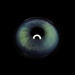 Vlinder Blue Colored Contact Lenses