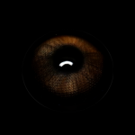 Americano Brown Prescription Colored Contact Lenses