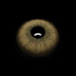 Eris Brown Colored Contact Lenses