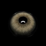 Eris Gray Colored Contact Lenses