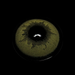 Elite Sandy Gray Prescription Colored Contact Lenses