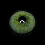 New York Green Colored Contact Lenses