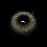 Claudina Sea Gray Colored Contact Lenses