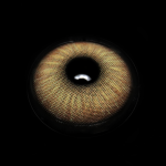 Beatriz Brown Colored Contact Lenses