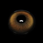 Stormy Brown Colored Contact Lenses