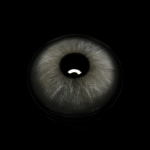 Efigenia Gray Colored Contact Lenses