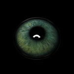 Helmi Green Colored Contact Lenses