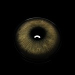 Goldie Brown Prescription Colored Contact Lenses