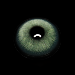 Goldie Green Prescription Colored Contact Lenses