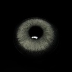 Goldie Gray Prescription Colored Contact Lenses