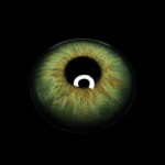 Ludmila Green Colored Contact Lenses