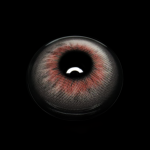 Andreia Gray Colored Contact Lenses